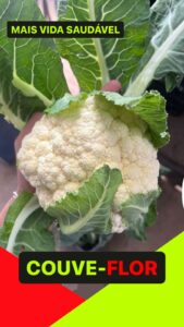 MyD Delivery Product Image